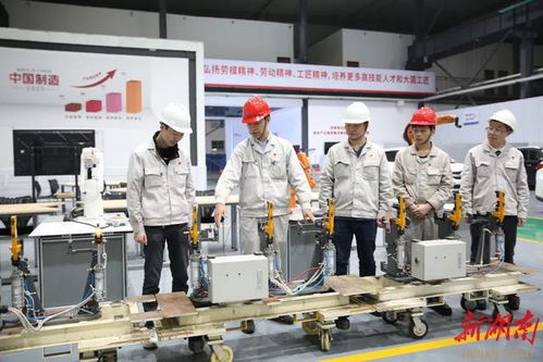 青春力量動(dòng)長沙 一座城市與青年雙向奔赴的時(shí)代脈動(dòng)