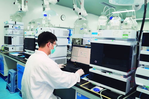 錨定生物技術(shù)核心 熱景生物以“出海”與“深耕”雙輪驅(qū)動技術(shù)研發(fā)